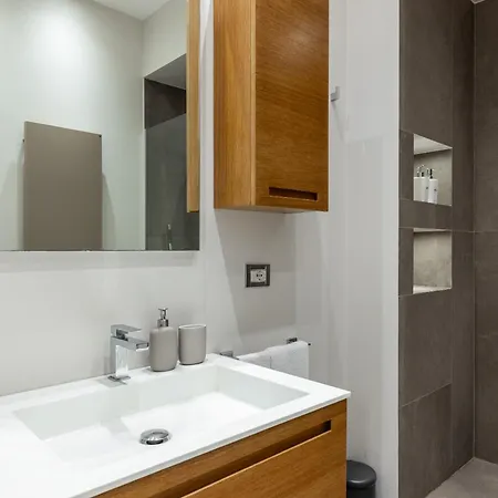 Panoramic Flat-les Gasthuis